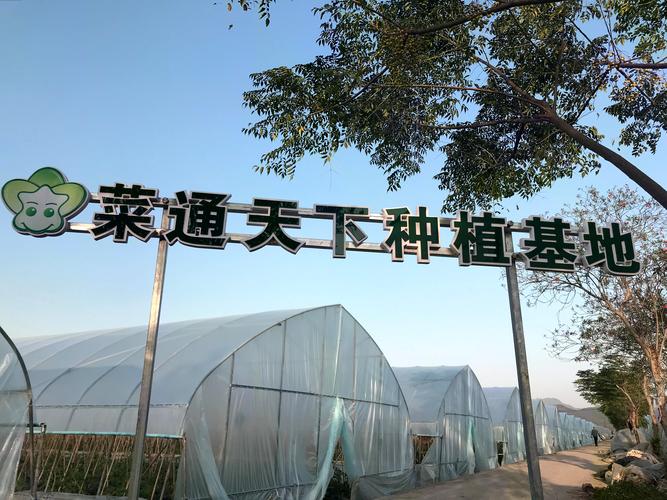 温州市八仟客餐饮管理